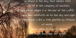 Happy are those who don’t listen to the wicked