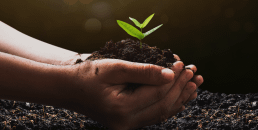 RAMY AYOUB TALKING ABOUT Adopting Sustainable and Socially Responsible Practices