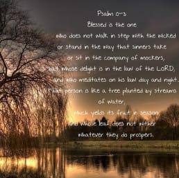 Happy are those who don’t listen to the wicked